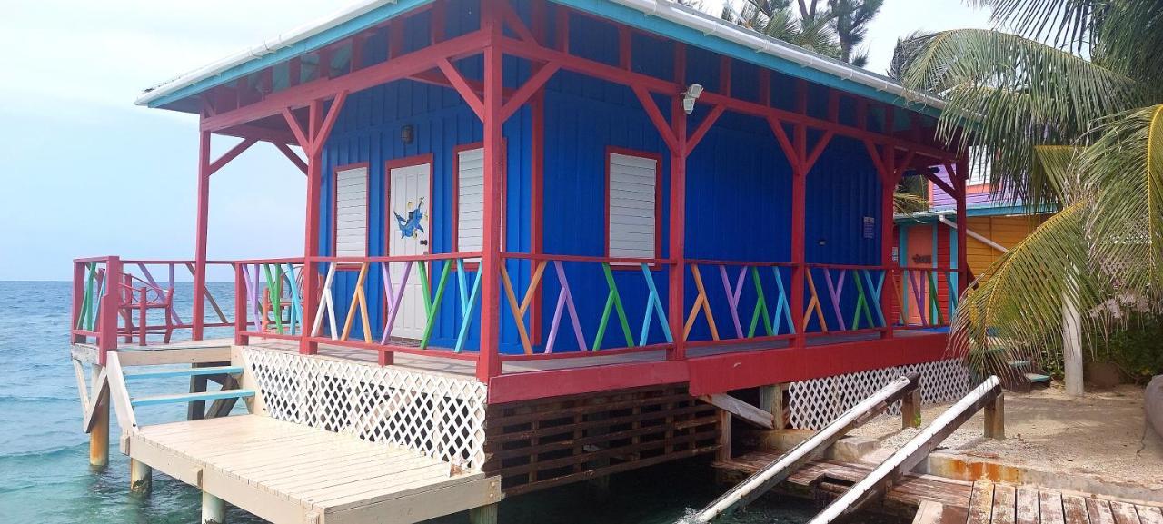 King Lewey'S Island Resort Placencia Esterno foto