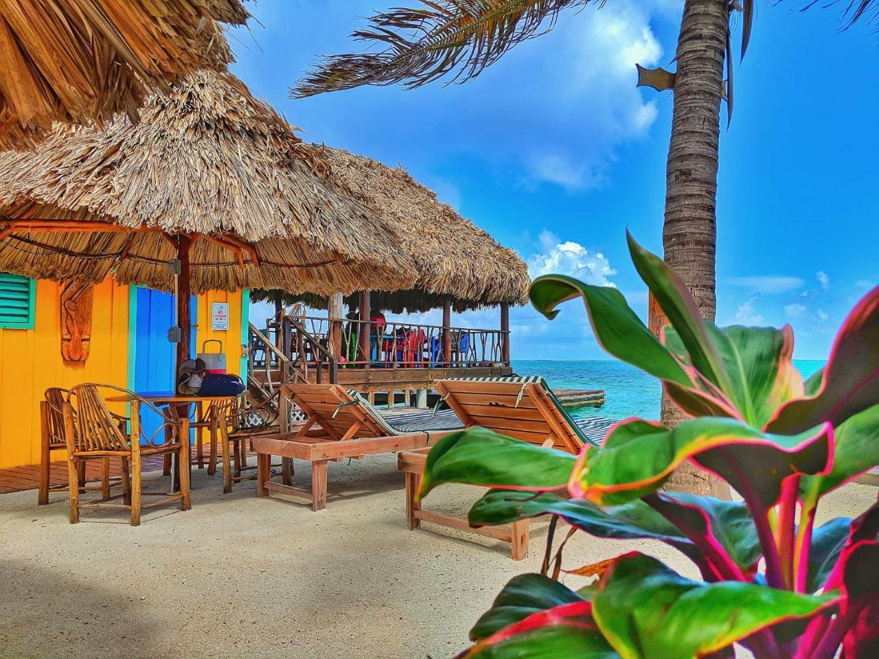 King Lewey'S Island Resort Placencia Esterno foto